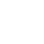 Microsoft Partner Silver