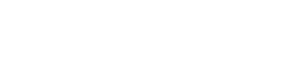 Paessler Logo White
